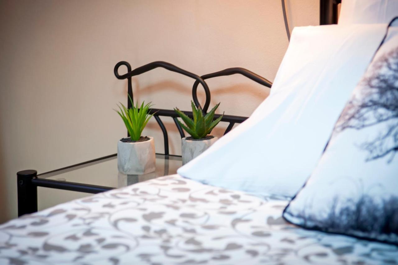Rovinj City Apartment المظهر الخارجي الصورة